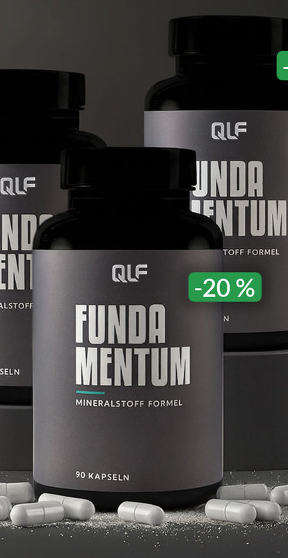 Drei Fundamentum Dosen