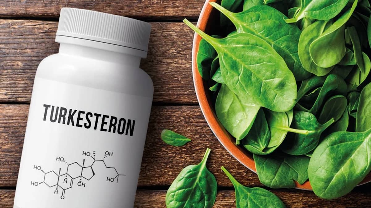 Turkesteron und Ecdysteron - Wie wirksam sind Ecdysteroide für den Muskelaufbau? (13 Studien)