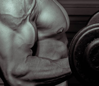 Pump Muskelaufbau - Besseres Muskelwachstum durch Pump? (Wissenschaftliche Analyse)