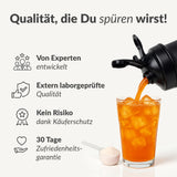 Probierbox Clear Whey, 5 x 30g inkl. Gratis-Shaker mit erfrischendem Proteinpulver und Glas mit Eiswürfeln