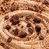 Chocolate Cookie Latte
