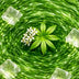 Waldmeister