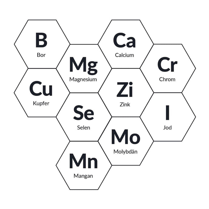 Fundamentum Mikronährstoffe
