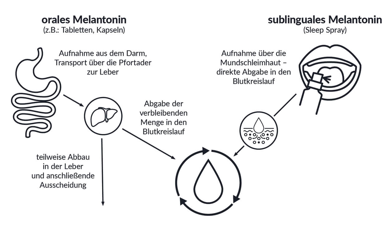 Melatonin Einnahme