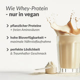 Probierbox Vegan Protein, 5 x 30g inkl. Gratis-Shaker mit pflanzlichem Proteinpulver und cremigem Geschmack